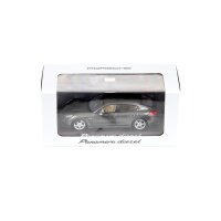 Porsche Panamera Diesel Minichamps 1:43 Escala Modelo WAP0202300E